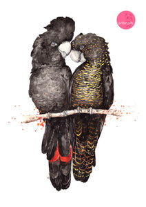 artbrush 'Black Cockatoos' print