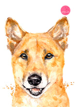 artbrush Aussie animal portrait series 'Dingo' print