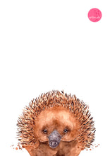 artbrush Aussie animal portrait series 'Echidna' print