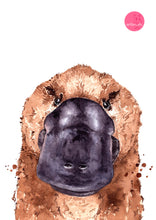 artbrush Aussie animal portrait series 'Platypus' print