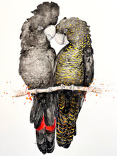 artbrush 'Black Cockatoos' ORIGINAL (Part of the Australian Birds Series)