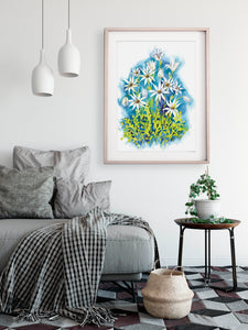 artbrush Australian Blooms Series 'Flannel Flower' print - A3