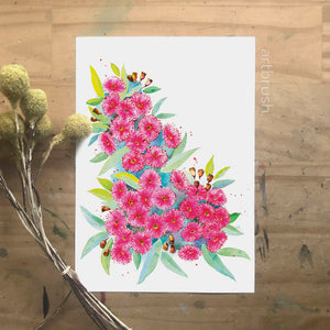 artbrush Australian Blooms Series 'Flowering Gum' print - A3