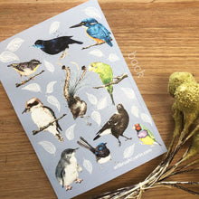 artbrush 'Australian Birds' notebook