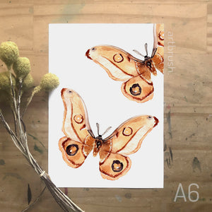 artbrush MINI PRINT 'emperor gum moth' A6 print