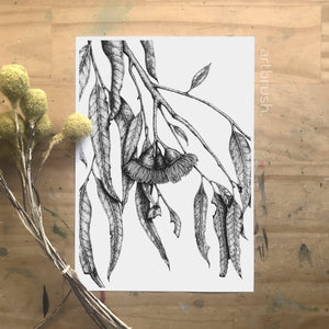 artbrush 'Black & White Botanical 1' print