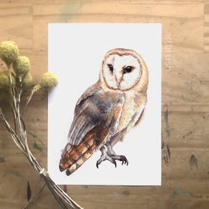 artbrush 'Olive' print (barn owl)