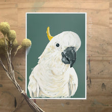 artbrush 'Curious Cockatoo' print