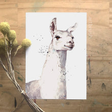 artbrush Niagara Series 'Llama' print