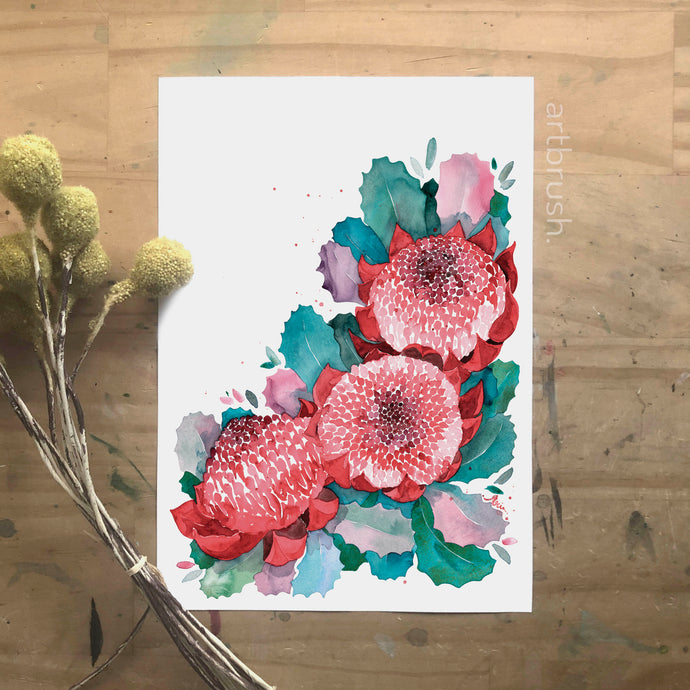 artbrush Australian Blooms Series 'Waratah' print - A3