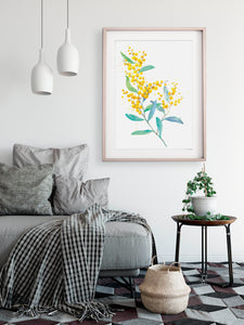 artbrush Australian Blooms Series 'Wattle' print - A3
