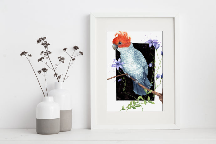 artbrush Austraila Series 'Canberra' print