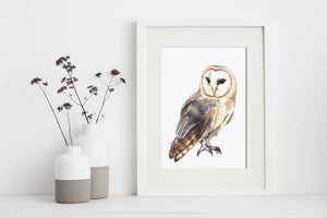 artbrush 'Olive' print (barn owl)