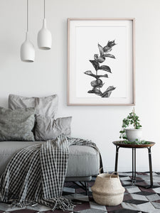 artbrush 'Black & White Botanical 3 Eucalyptus' print