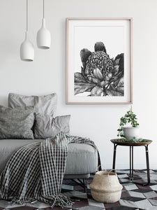 artbrush 'Black & White Botanical 2 Waratah' print