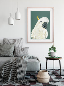 artbrush 'Curious Cockatoo' print