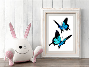 artbrush MINI PRINT 'ulysses butterfly' A6 print