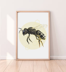 artbrush 'Honey' print (Bee)